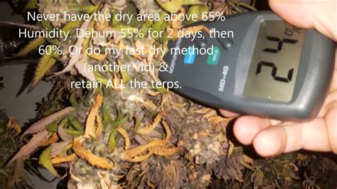 moisture meter for marijuana buds